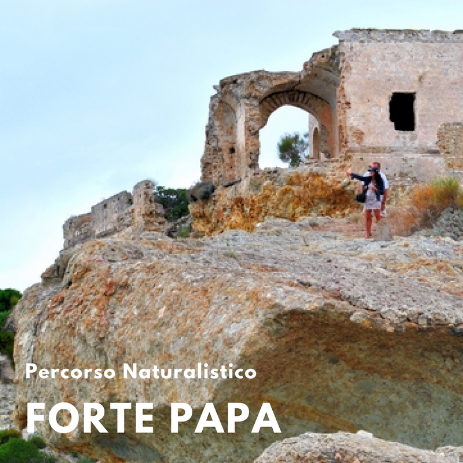 Forte Papa Ponza