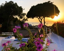 ponza-anda-blu-13.jpg