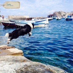 10cala-feola-spiaggia-ponza (10).jpg