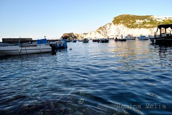 12calafeola.jpg