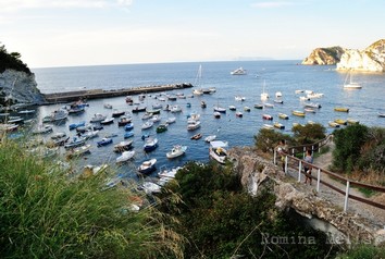 15calafeola.jpg