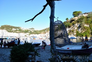 8calafeola.jpg