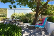 10PONZA-MONO-GERANIO.jpg