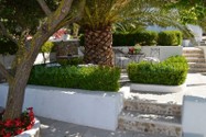 7ponza-appartamento-albicocco.jpg